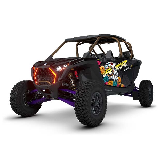 RZR-Calavera.jpg